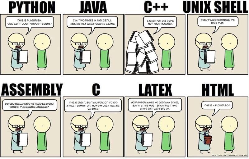 Programming.jpeg