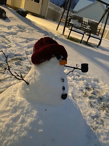 File:Buffalo snow.JPG